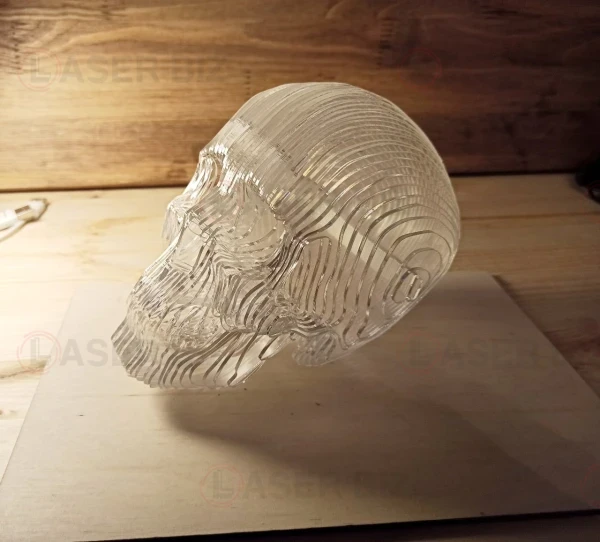 Акриловая 3d модель черепа