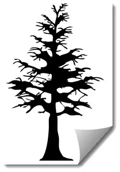 Дерево 2