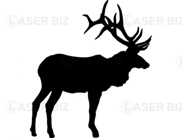 Veado