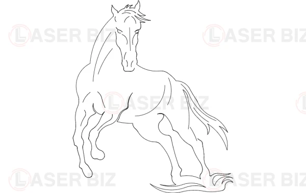 The 